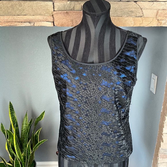 Carlisle Sheer Lace Silk Event Party Top Holiday Elegant Cobalt Blue Black 8 - Picture 1 of 11